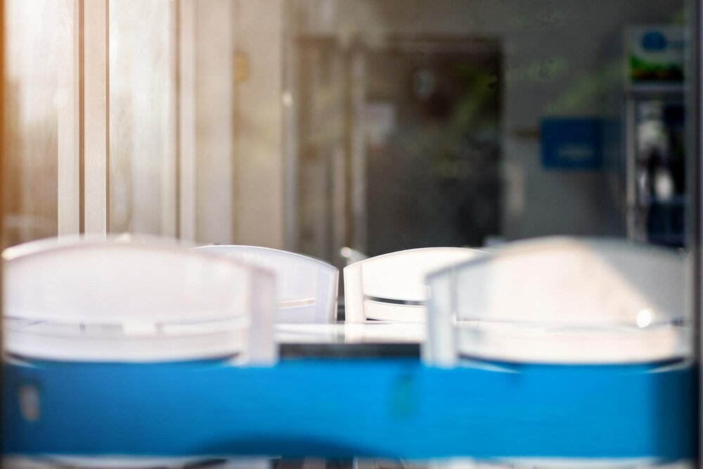 Zanieczyszczone powietrze: Cichy zabójca zdrowia publicznego