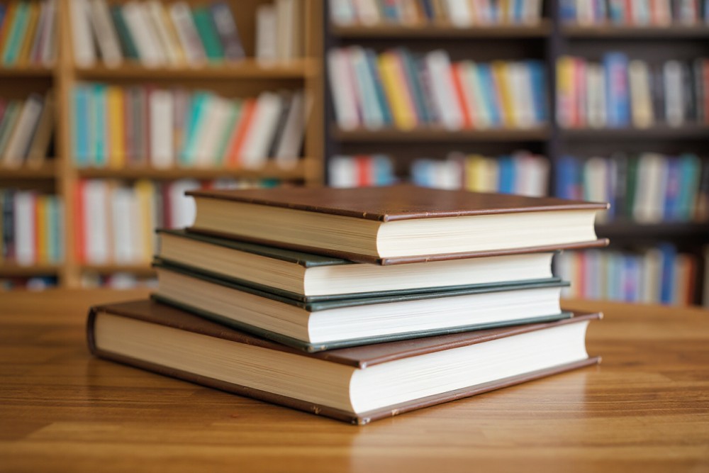 Zanurz się w magiczny świat „Zorzy Północnej” – poleca bibliotekarz